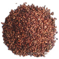 Agriculture grape seed